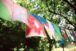 Waldorfkindergarten Bochum-Wattenscheid