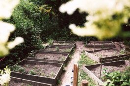 Waldorfkindergarten Bochum-Wattenscheid