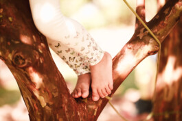 Waldorfkindergarten Bochum-Wattenscheid